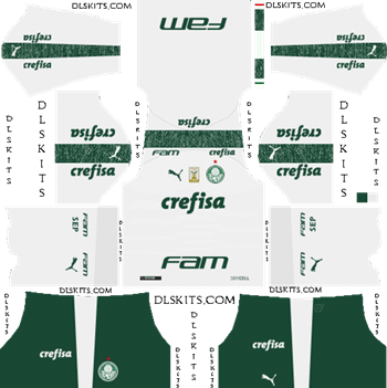 Palmeiras Away Kit 2019 - DLS 19 Kits - Dream League Soccer Kits URL 512x512