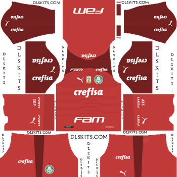 Palmeiras Goalkeeper Away Kit 2019 - DLS 19 Kits - Dream League Soccer Kits URL 512x512