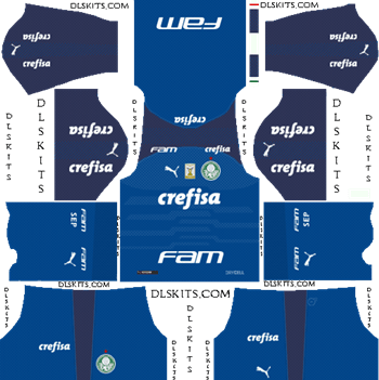 Palmeiras Goalkeeper Home Kit 2019 - DLS 19 Kits - Dream League Soccer Kits URL 512x512